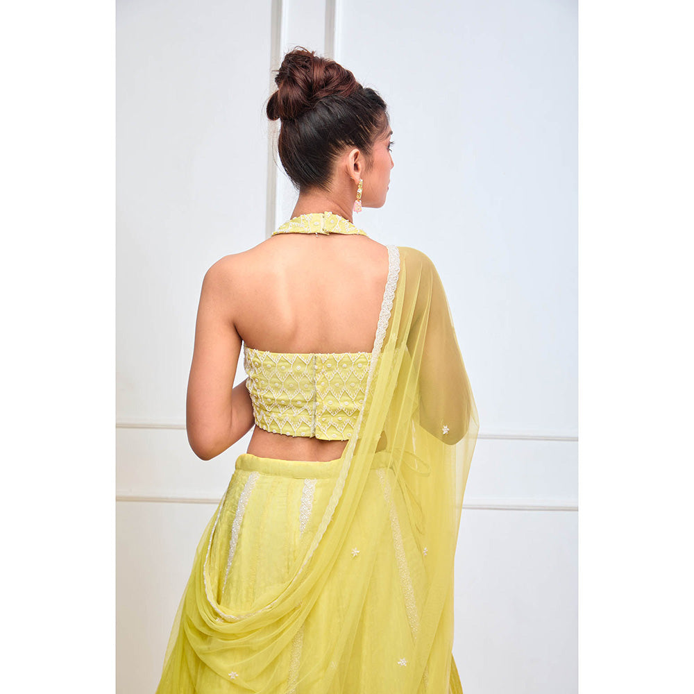 Aishwarya Tyagi Organza Jamdani Halter Blouse with Lehenga & Dupatta (Set of 3)