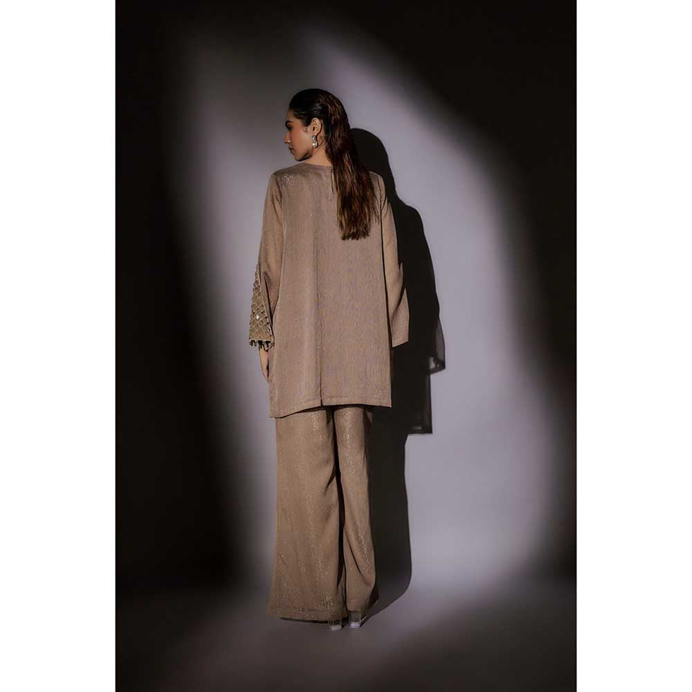 Ajiesh Oberoi Brown Emily Front Neck Embroidered Co-Ord (Set of 2)