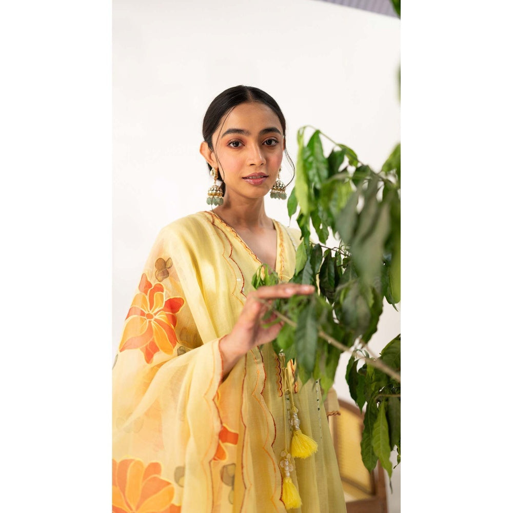 AM by Anita Mittal Yellow Chanderi Zoya Anarkali Kurta with Pant and Dupatta