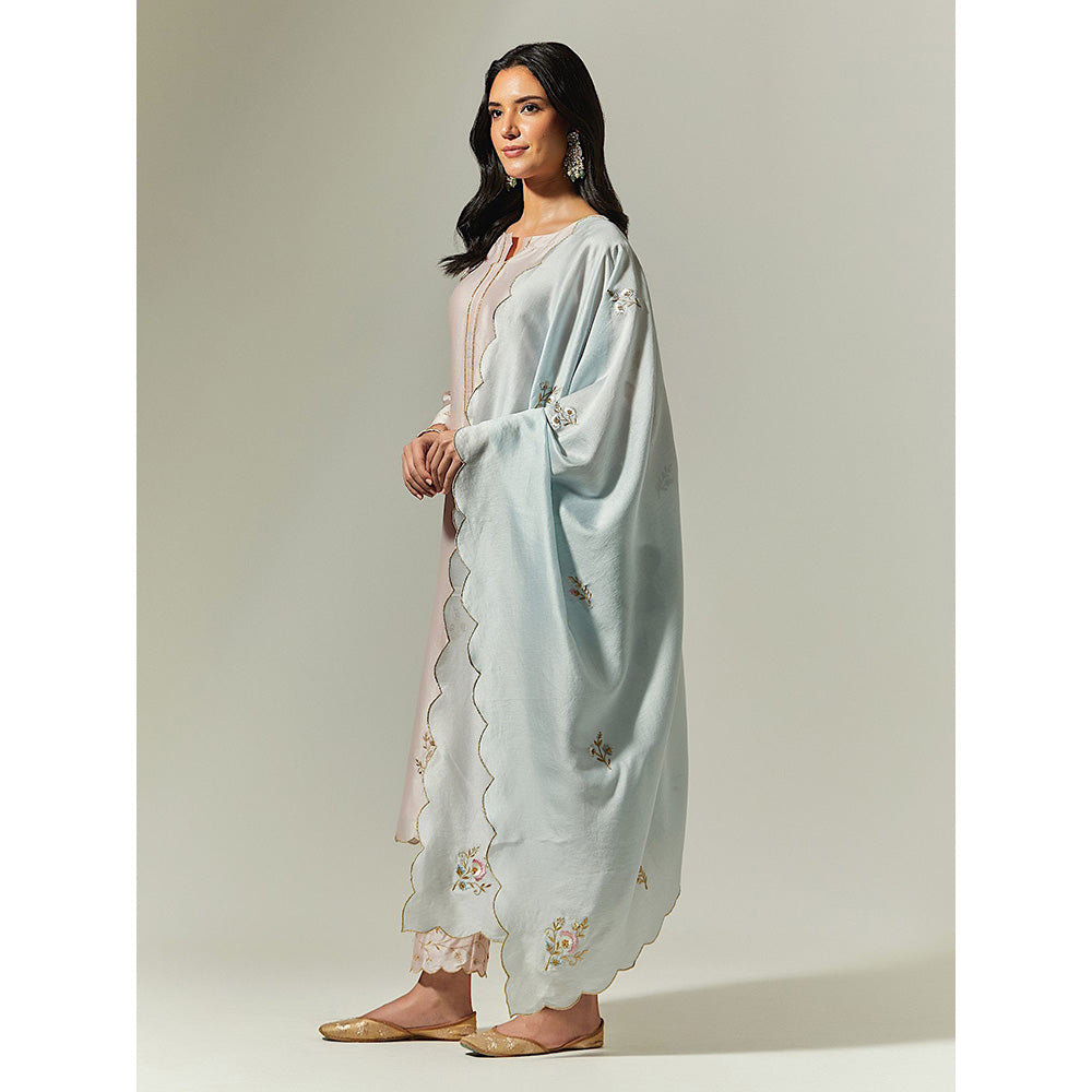 Anantaa by Roohi Trehan Light Pink Silk Chanderi Hand Embroidered Kurta With Plackett
