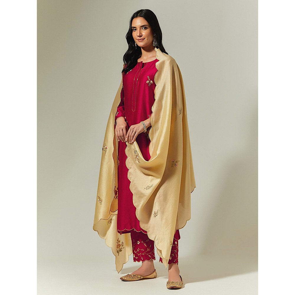 Anantaa by Roohi Trehan Red Silk Chanderi Hand Embroidered Kurta With Plackett