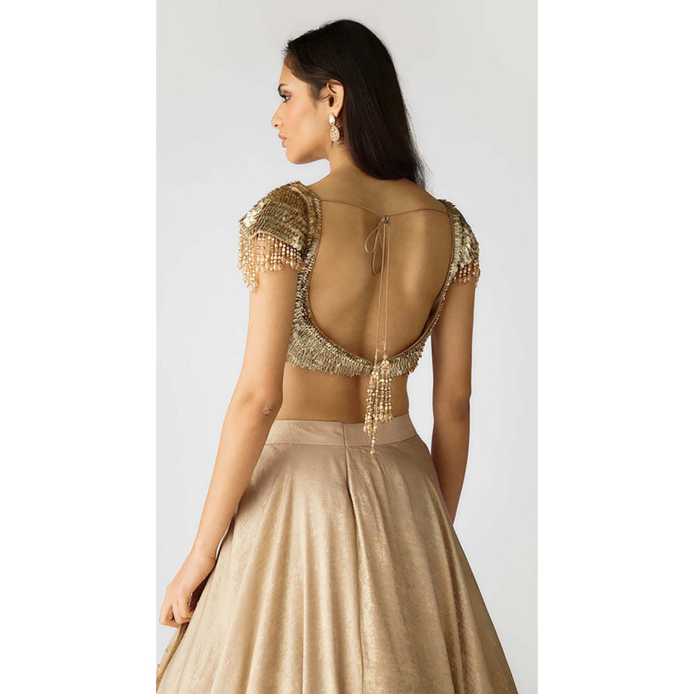 Basanti Kapde aur Koffee The Celestial Glow Lehenga with Blouse and Dupatta