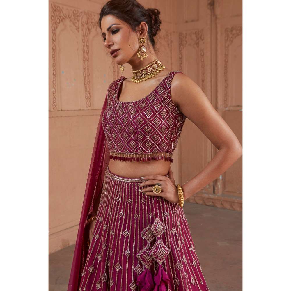 CHARU AND VASUNDHARA Raspberry Fusion Skirt with Blouse & Dupatta (Set of 3)