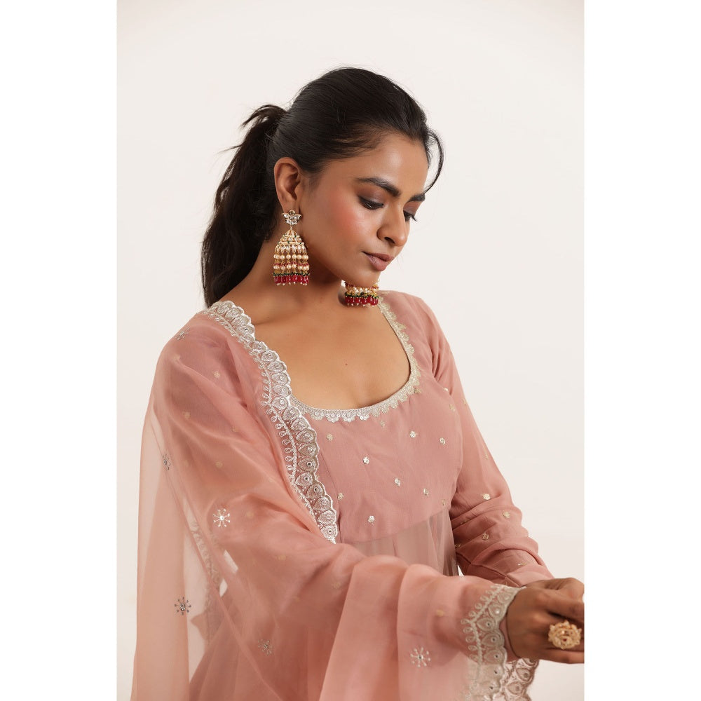DEASHA INDIA Aarini Mauve Chiku Regal Anarkali with Pant and Dupatta (Set of 3)