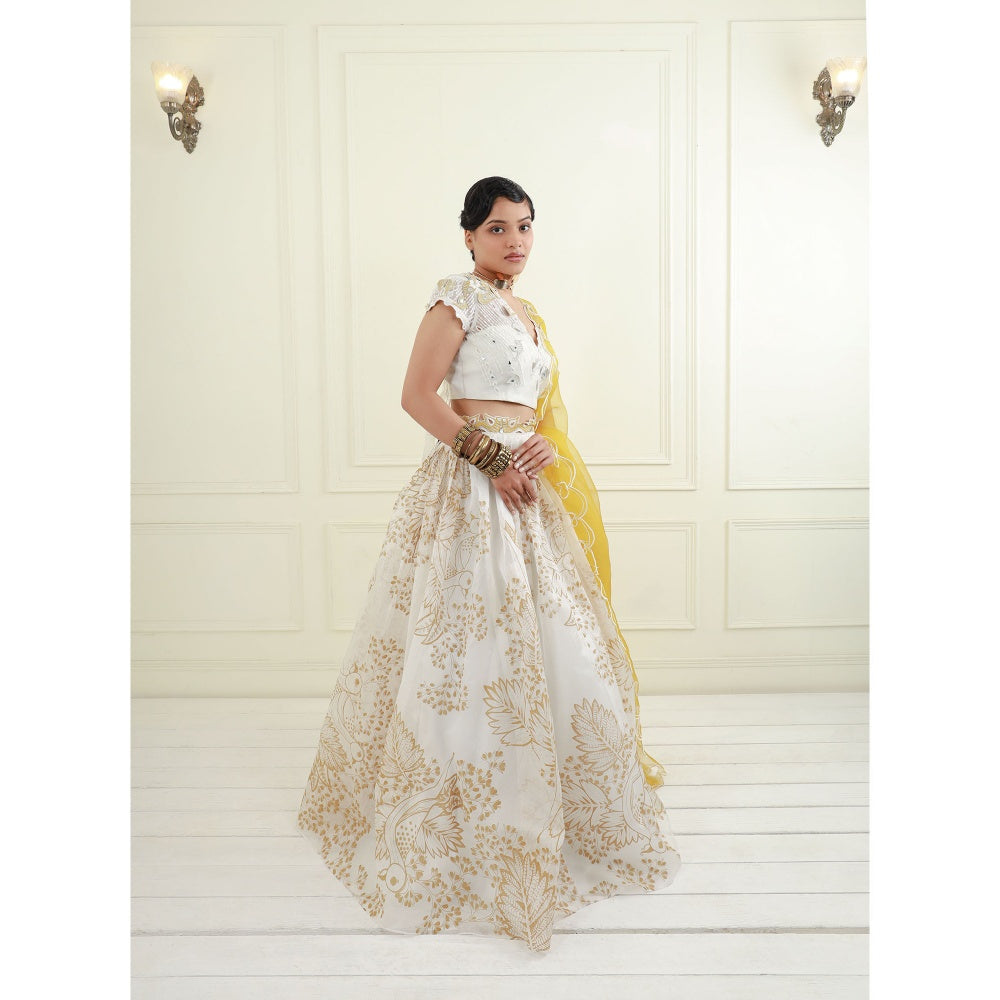 EK Soot White Organza Blouse with Lehenga and Dupatta (Set of 3)