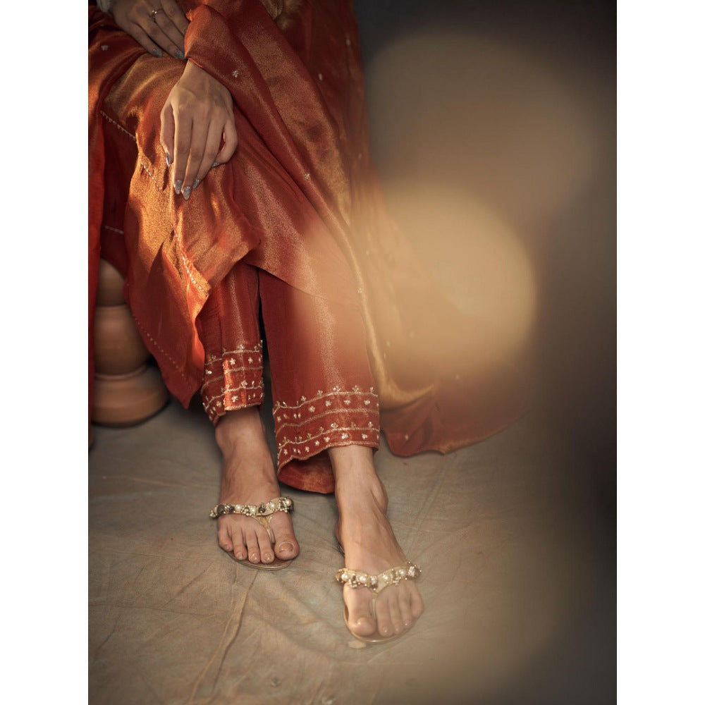 Hirika & Dhruti Rust Zardozi Work Tissue Anarkali with Pant and Dupatta (Set of 3)