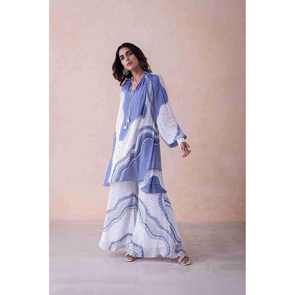 LABEL NAARITI Women Abstract Printed Blue Top with Palazzo Co-Ord