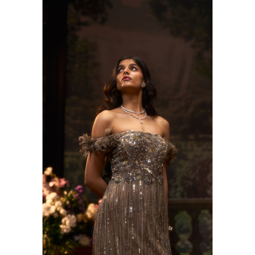 Muskan Aggarwal Women Net Taupe Gown
