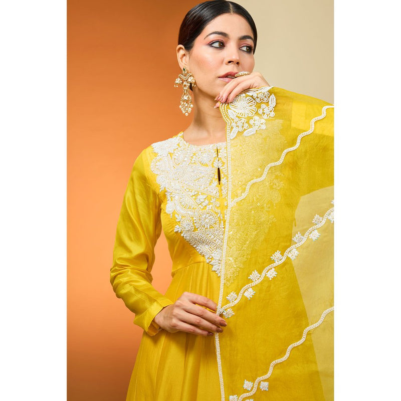 Neha Khullar Yellow Anarkali with Dupatta (Set of 2)
