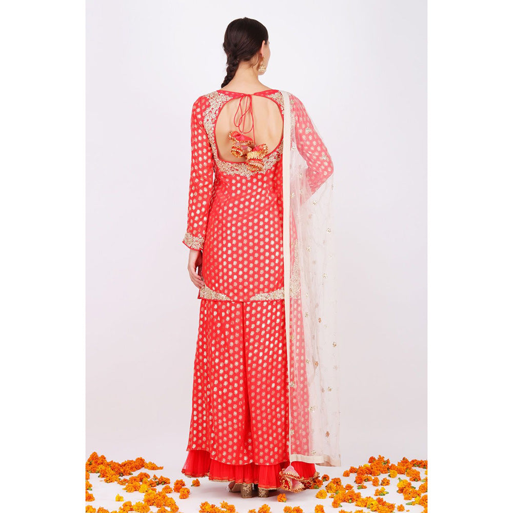 Nikasha Gajari Rani Kurta With Net Sharara and net embroidered Dupatta - Set of 3