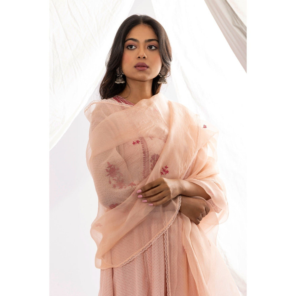 PANTS AND PAJAMAS Pink Organza Dupatta