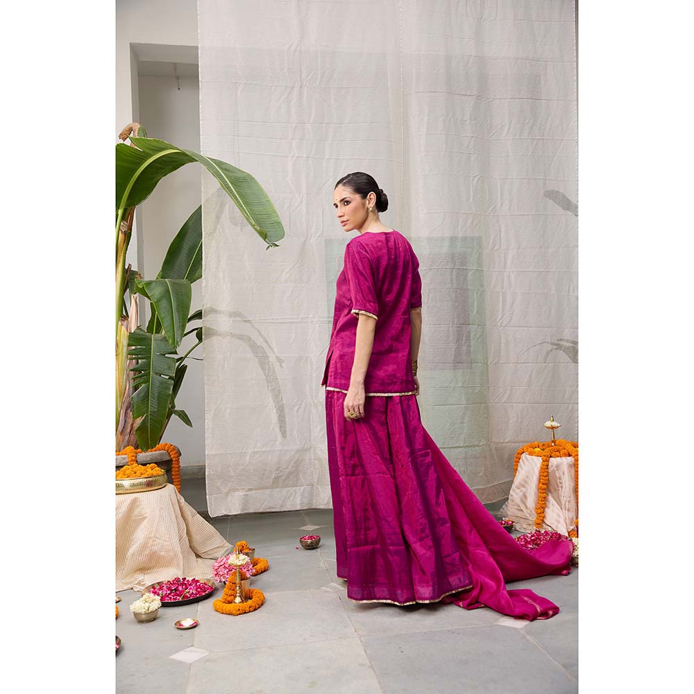Raas Life Amala Flared Purple Palazzo