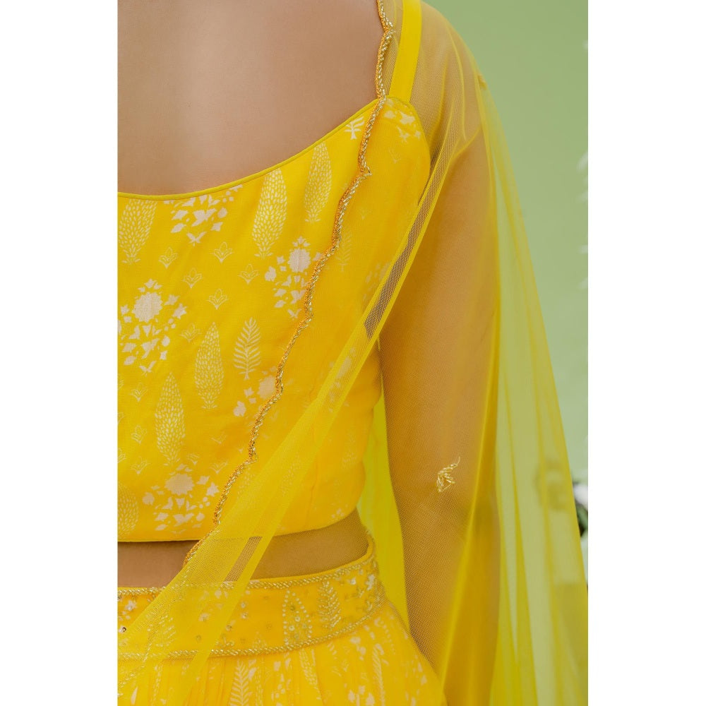 Redpine Designs Yellow Embroidered Lehenga with Blouse, Dupatta and Belt (Set of 4)