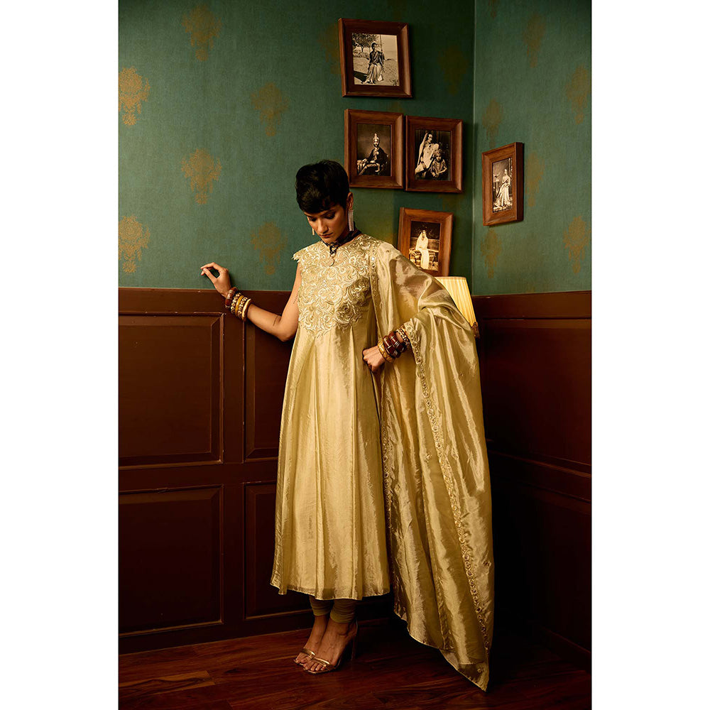 REETI ARNEJA Gul Beige Anarkali with Churidar and Dupatta (Set of 3)