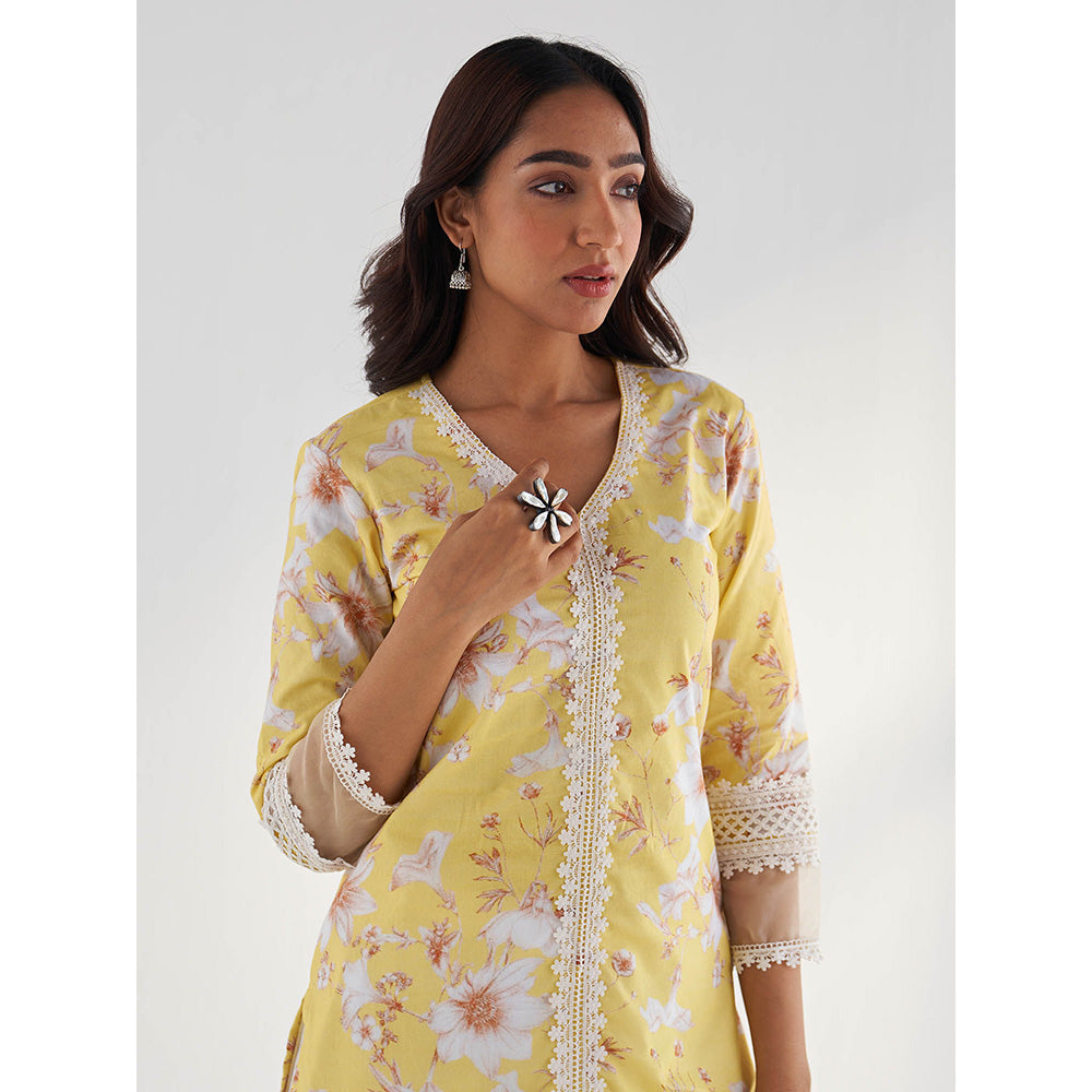 Roze Amina Kurta