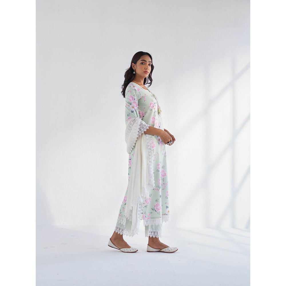 Roze Huma Pant
