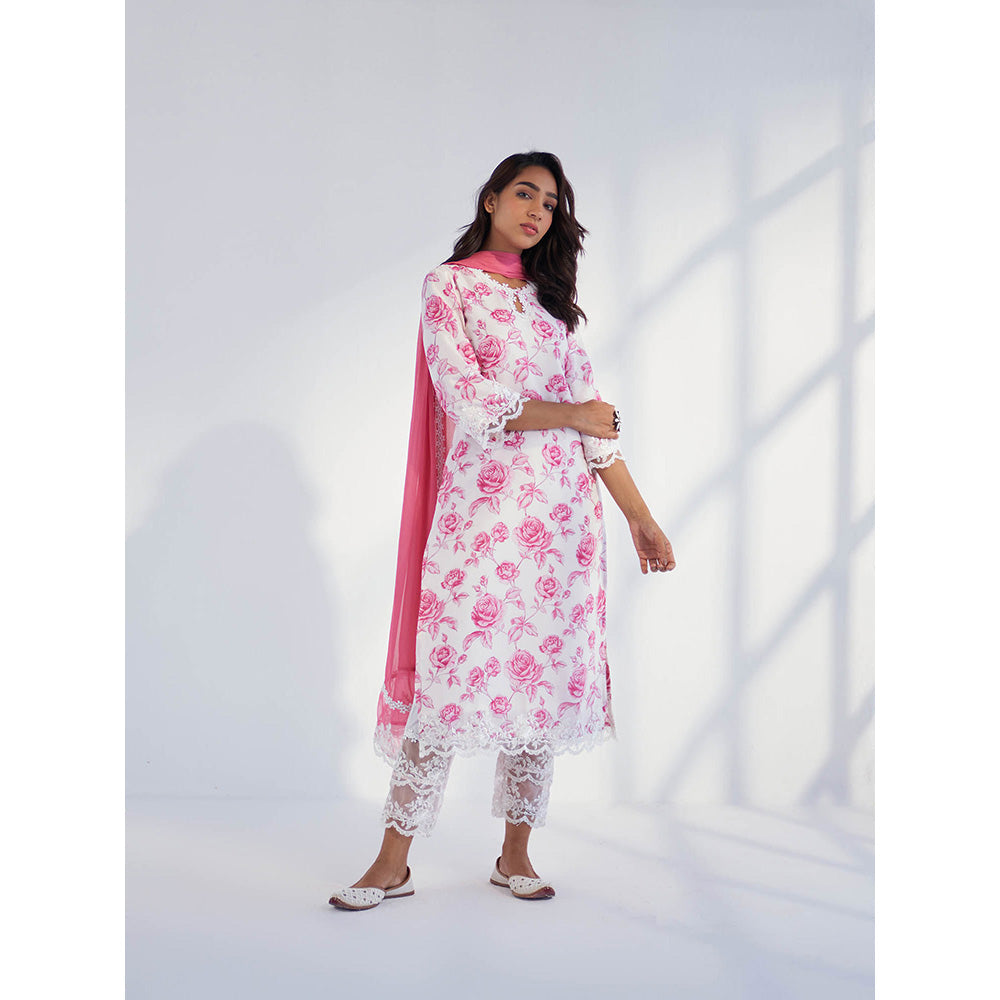 Roze Arah Pant