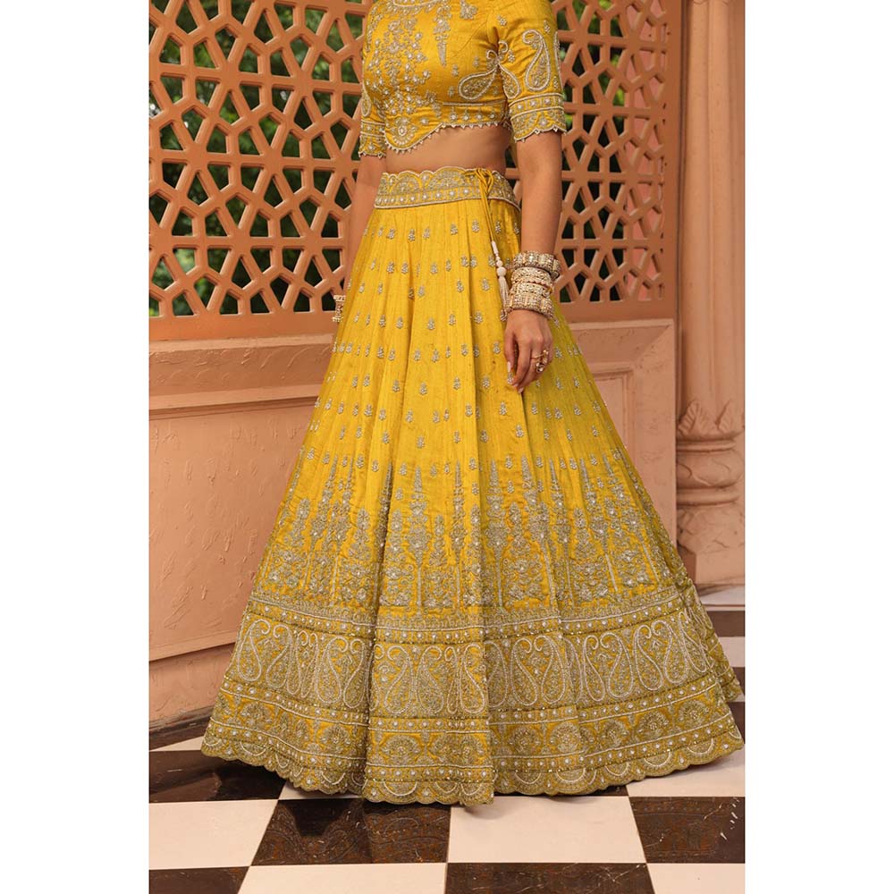 Sheetal Batra Uzma Mustard Lehenga with Blouse and Dupatta (Set of 3)