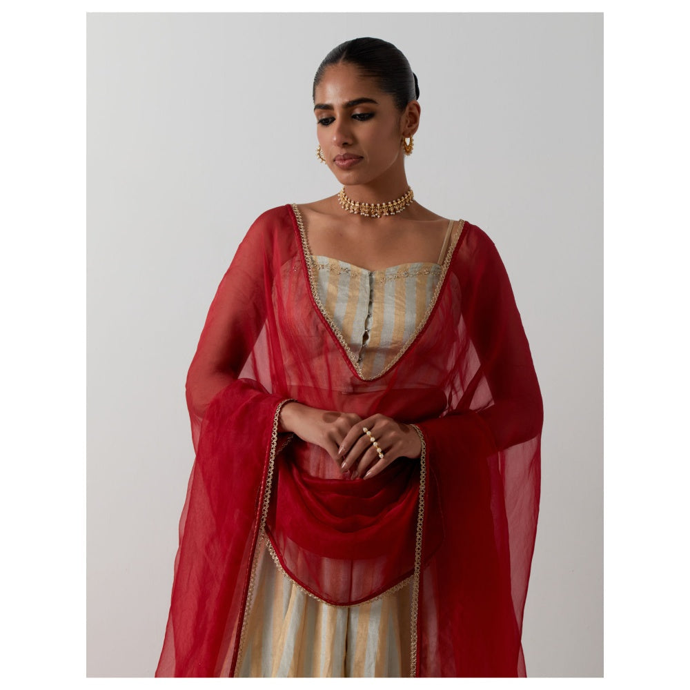 Vinusto Gold & Silver Zari Striped Lehenga with Blouse & Red Dupatta