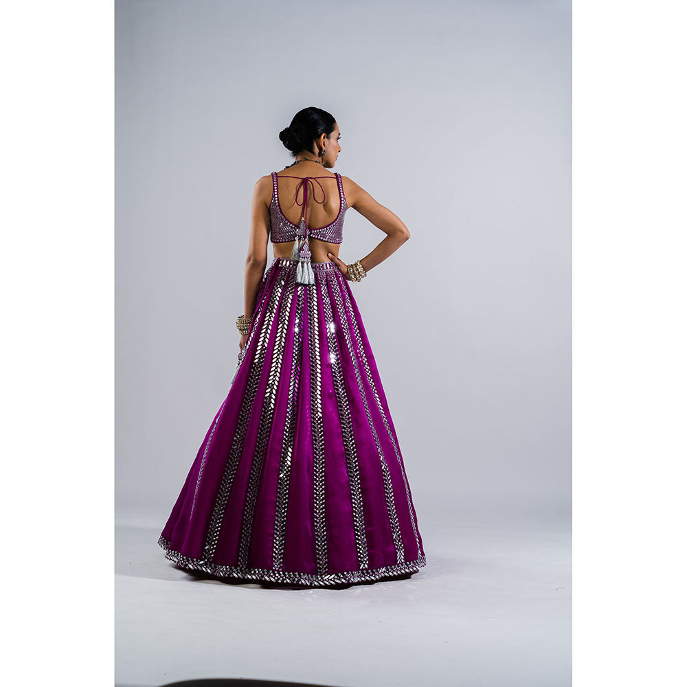 Vvani by Vani Vats Pop Wine Mirror Seam Blouse with Lehenga & Dupatta (Set of 3)