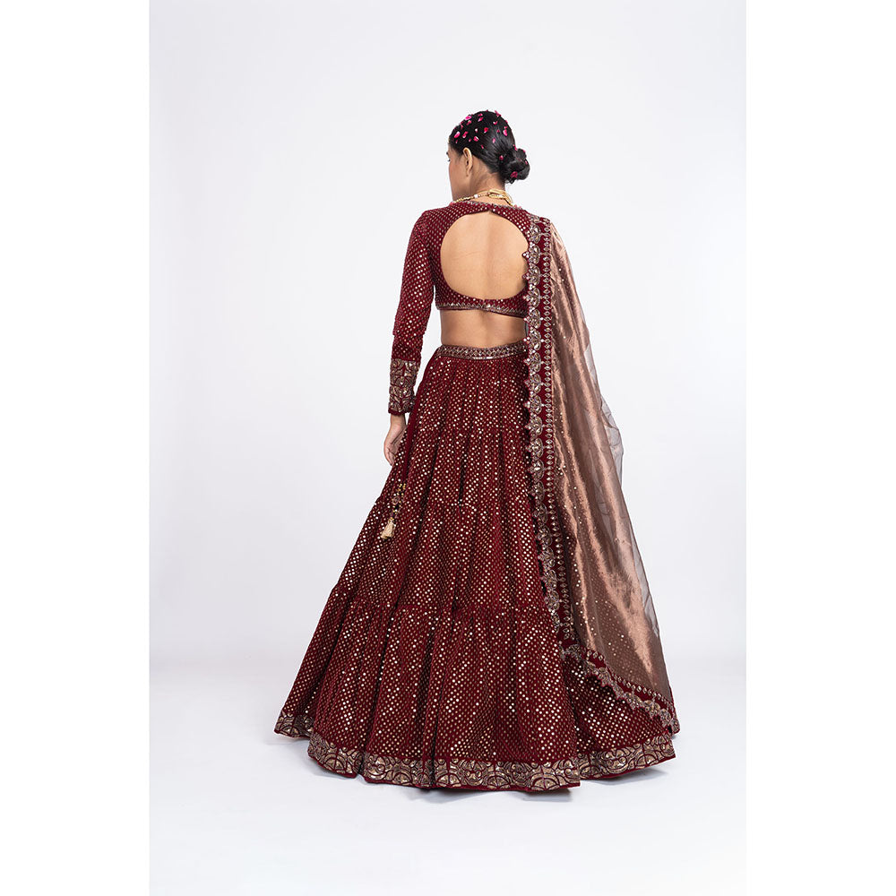 Vvani by Vani Vats Maroon Dense Dot Blouse with Lehenga & Dupatta (Set of 3)