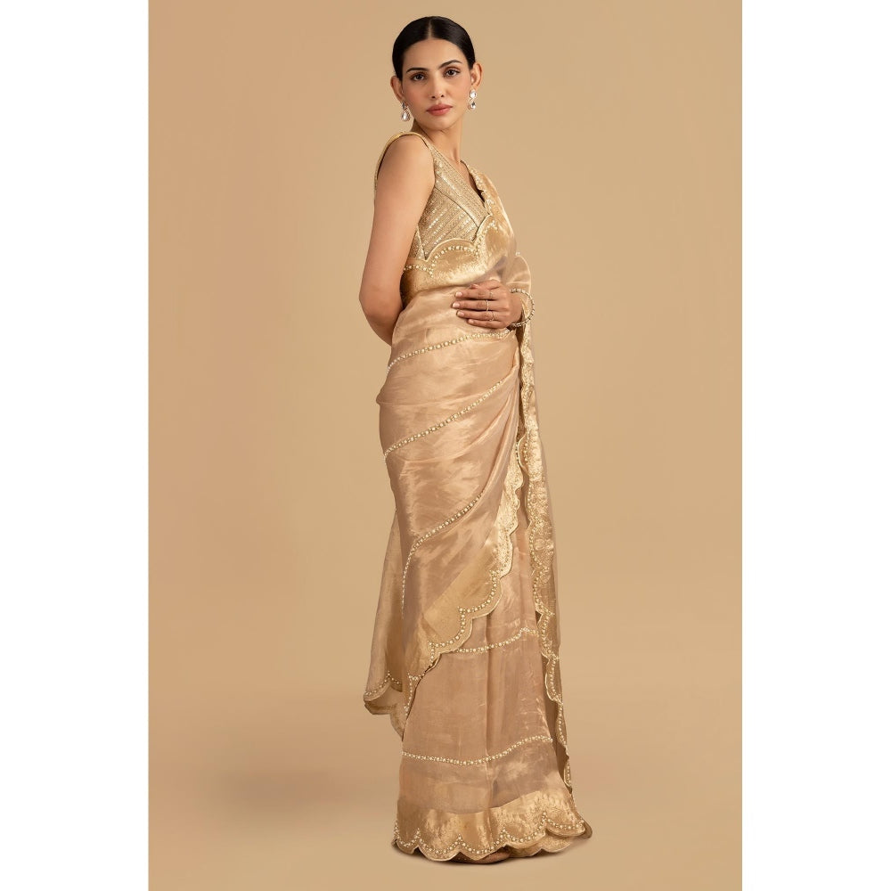 Zal from Benaras Golden Pure Tissue Silk Banarasi Hand Embroidered Saree without Blouse