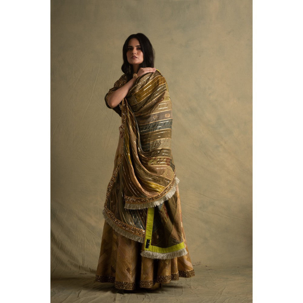 PRIYANKA RAAJIV Rumra Rika and Keerat Gold and Beige Lehenga (Set of 3)