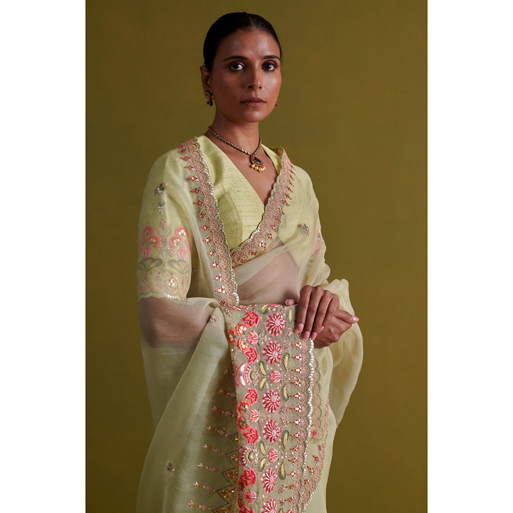 Aarti Sethia Studio Sage Green Saree with Stitched Blouse and Petticoat
