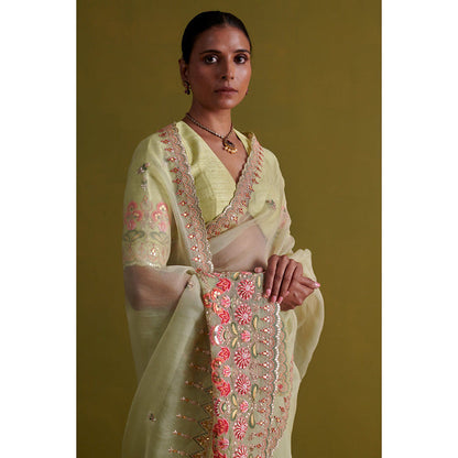 Aarti Sethia Studio Sage Green Saree with Stitched Blouse and Petticoat