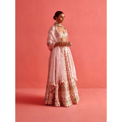 Aarti Sethia Studio Powdered Pink Lehenga with Blouse and Dupatta (Set of 3)