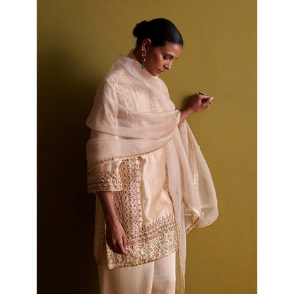 Aarti Sethia Studio Beige Palazzo with Kurta and Dupatta (Set of 3)