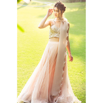Aaryaa By Kashveen Kohli Baby Pink Organza Lehenga with Blouse and Dupatta (Set of 3)