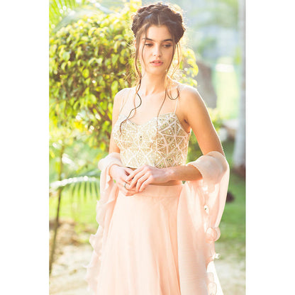 Aaryaa By Kashveen Kohli Baby Pink Organza Lehenga with Blouse and Dupatta (Set of 3)