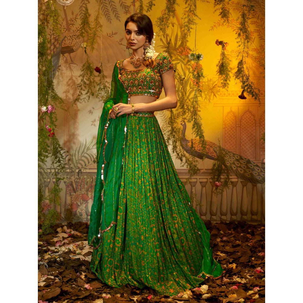 Aayushi Maniar Neem Lehenga with Blouse and Dupatta Green (Set of 3)