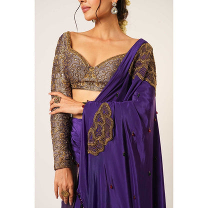 Aayushi Maniar Blue Ambika Pre-Draped Saree with Stitched Blouse