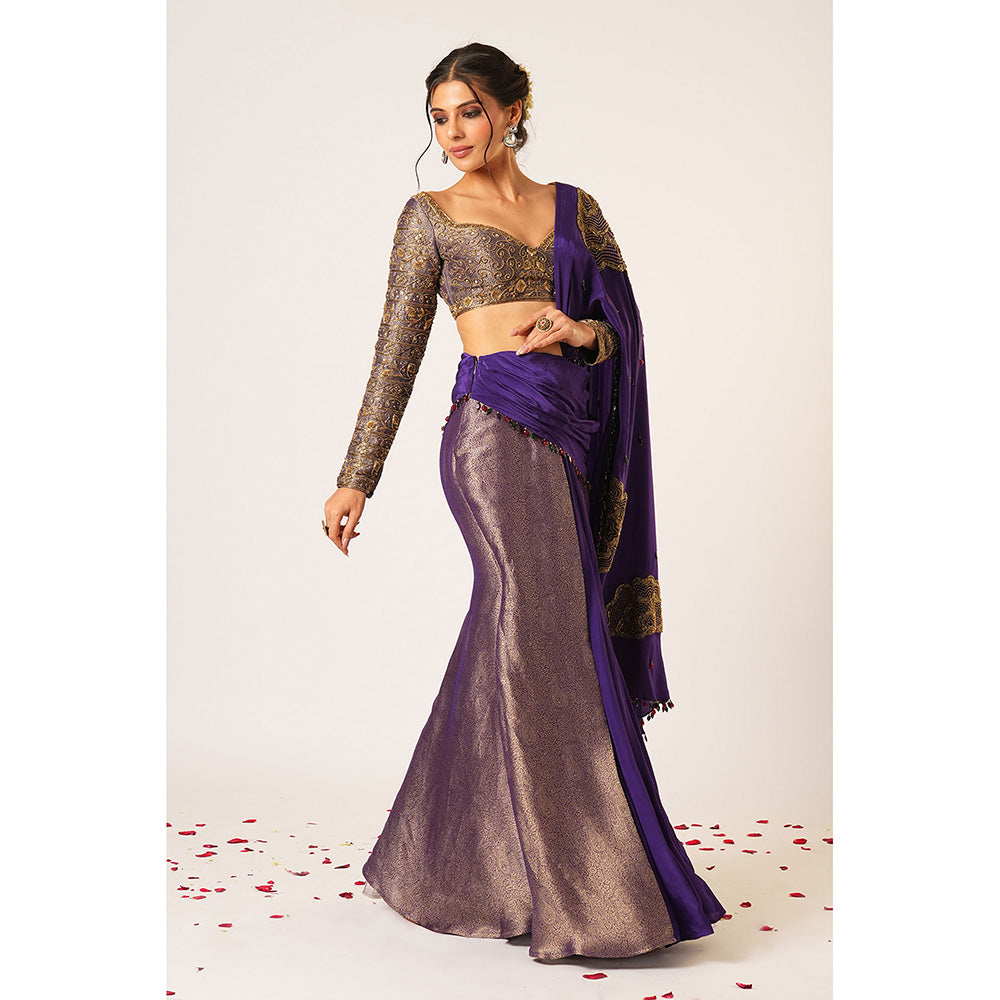 Aayushi Maniar Blue Ambika Pre-Draped Saree with Stitched Blouse