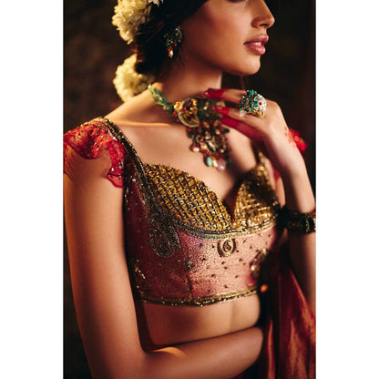 Aayushi Maniar Multi-Colour Panchali Lehenga with Blouse and Dupatta (Set of 3)