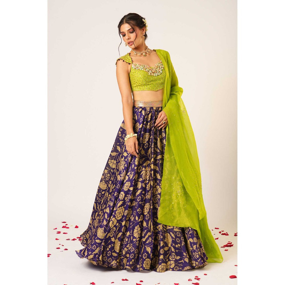 Aayushi Maniar Green Maitreyi Lehenga with Blouse and Dupatta (Set of 3)