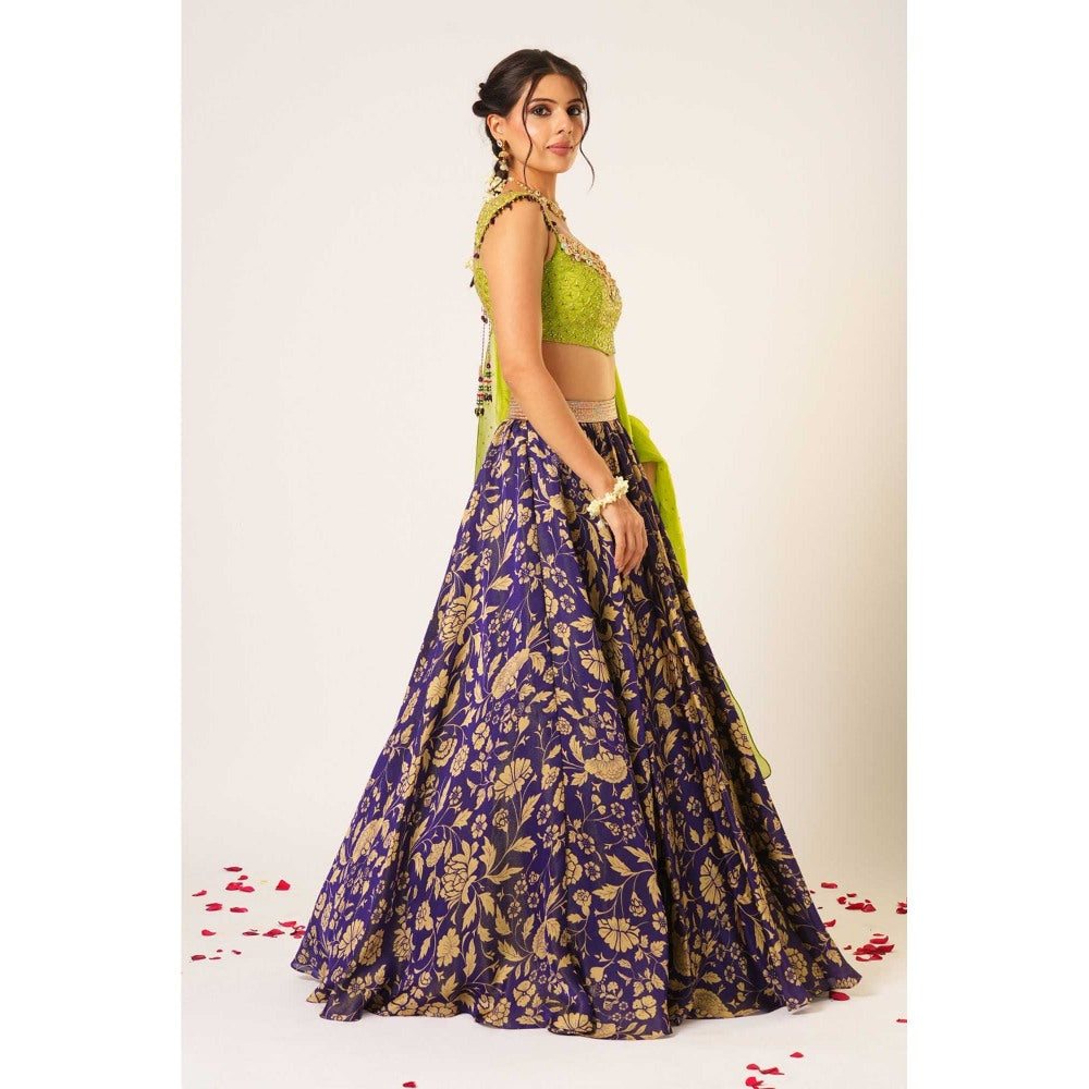 Aayushi Maniar Green Maitreyi Lehenga with Blouse and Dupatta (Set of 3)