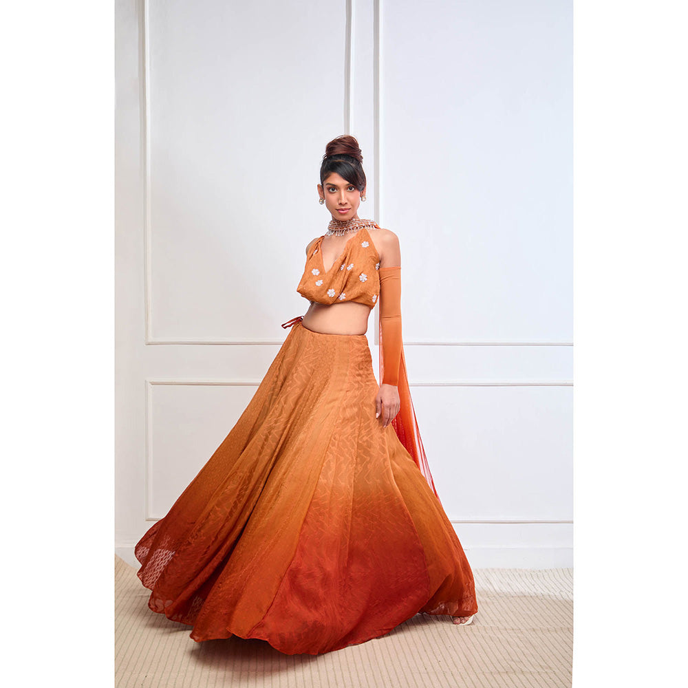 Aishwarya Tyagi Organza Cowl Neck Blouse with Lehenga & Dupatta Detachable Sleeves (Set of 4)