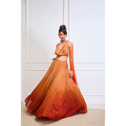 Aishwarya Tyagi Organza Cowl Neck Blouse with Lehenga & Dupatta Detachable Sleeves (Set of 4)