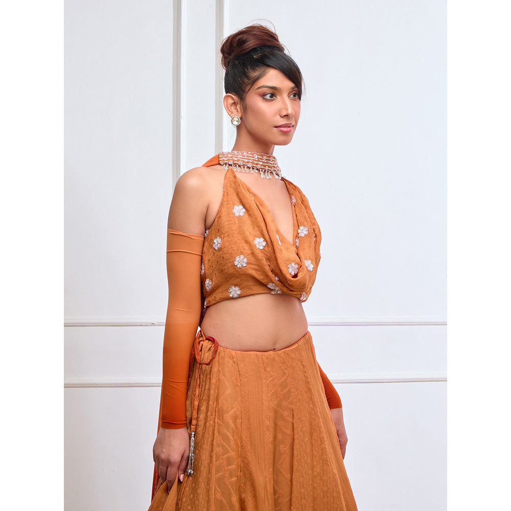 Aishwarya Tyagi Organza Cowl Neck Blouse with Lehenga & Dupatta Detachable Sleeves (Set of 4)