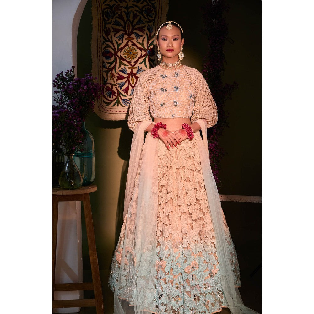 Aishwarya Tyagi Paulina Pearls Lehenga with Blouse and Dupatta (Set of 3)