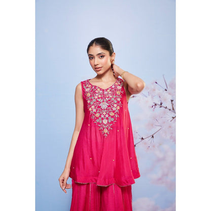 Ajiesh Oberoi Rani Babli Embroidered Kurti with Bustier and Sharara (Set of 3)