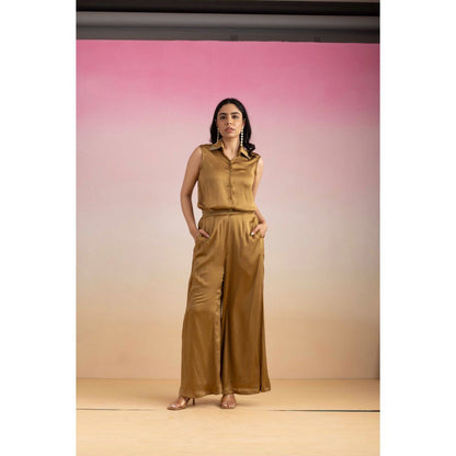 Ajiesh Oberoi Brown Priya Shirt with Pant (Set of 2)