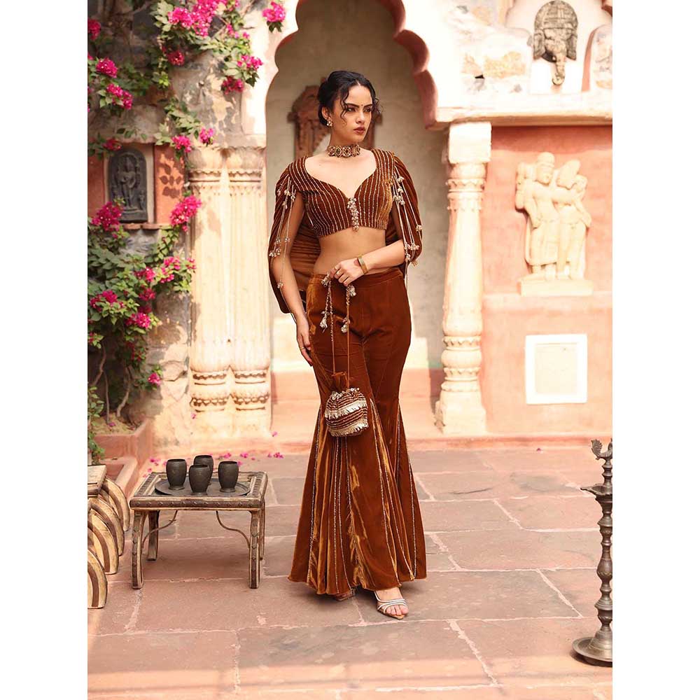 Ajiesh Oberoi Honey Gold Sharara with Blouse (Set of 2)