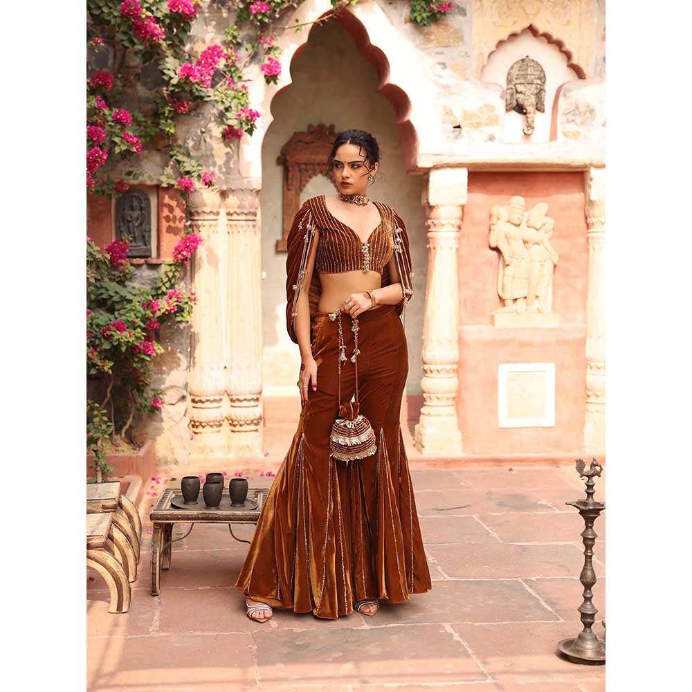 Ajiesh Oberoi Honey Gold Sharara with Blouse (Set of 2)
