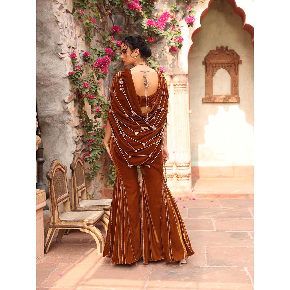 Ajiesh Oberoi Honey Gold Sharara with Blouse (Set of 2)