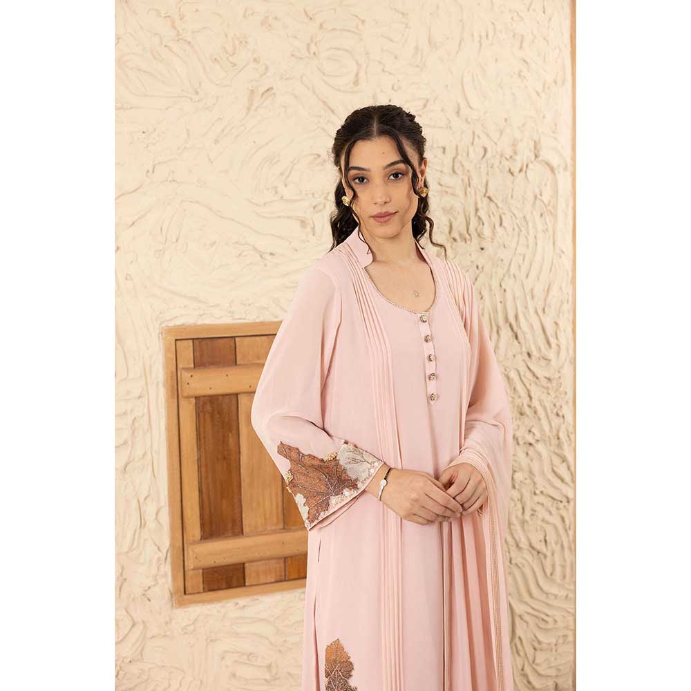 Ajiesh Oberoi Pink Anika Kurta with Palazzo and Dupatta (Set of 3)
