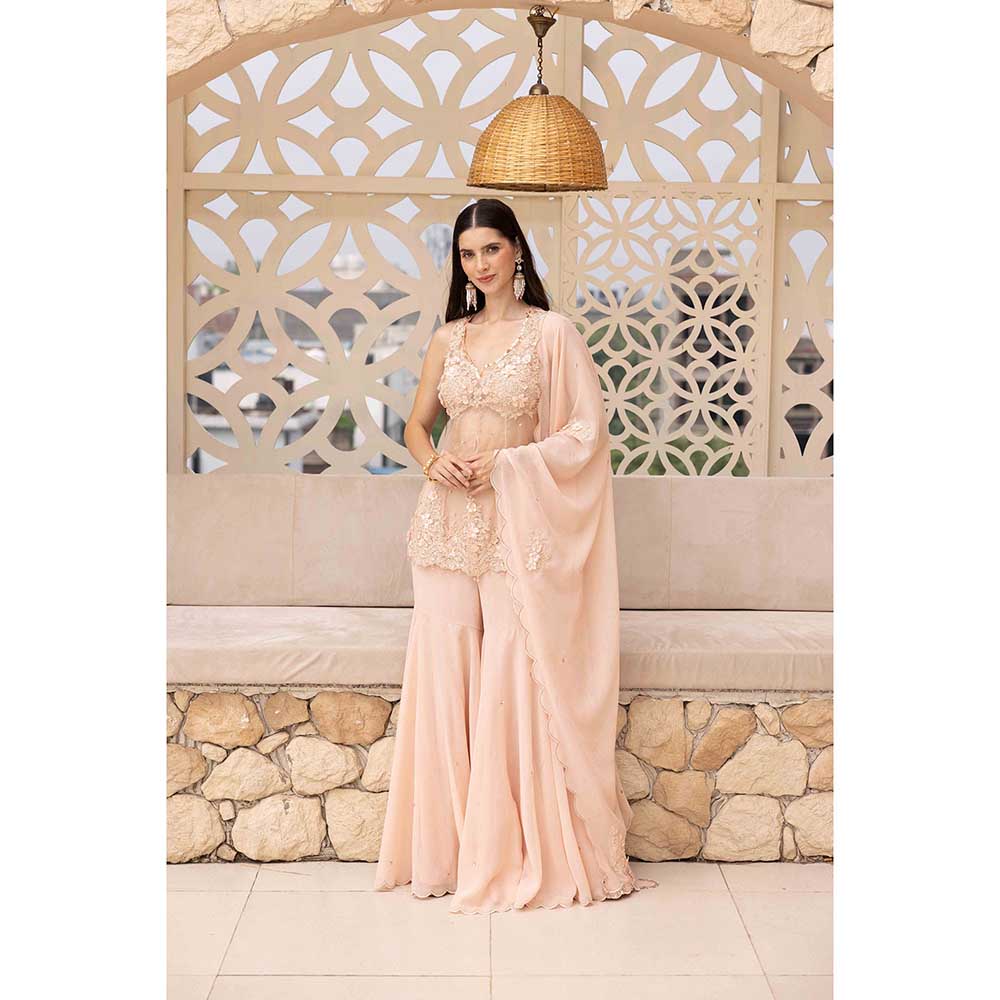 Ajiesh Oberoi Peach Surat Peplum Top with Sharara and Dupatta (Set of 3)